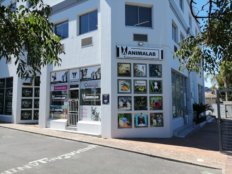 To Let commercial Property for Rent in Durbanville Western Cape